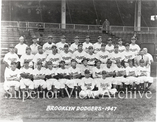 Brooklyn Dodgers Team Photo 1947