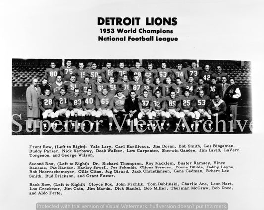 World Champions The Detroit Lions Football Team 1953