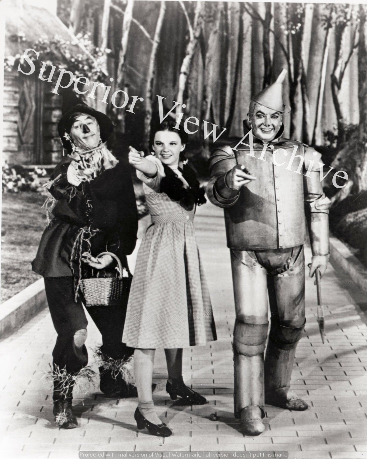 Wizard Of Oz Cast On Yellow Brick Road Tin Man Dorothy Scarecrow Wizard of Oz