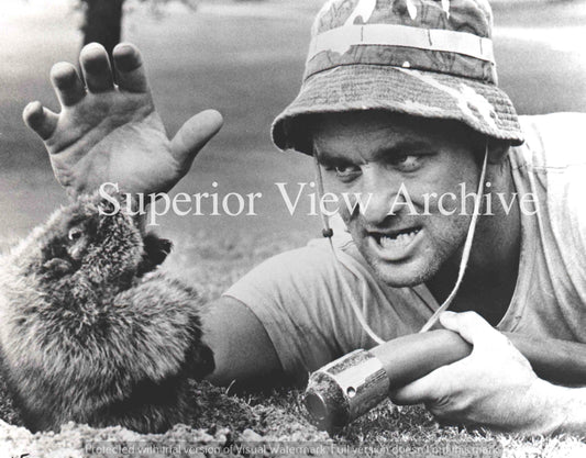 Caddyshack Bill Murray With Groundhog