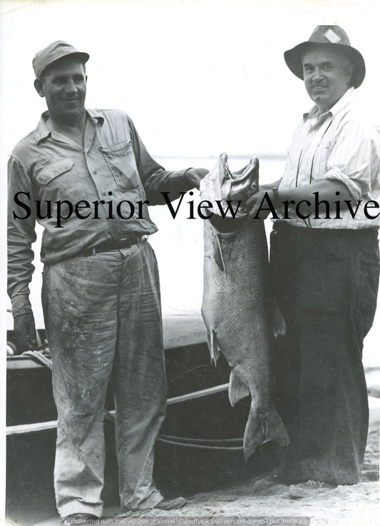 Lake Superior-Giant Lake trout