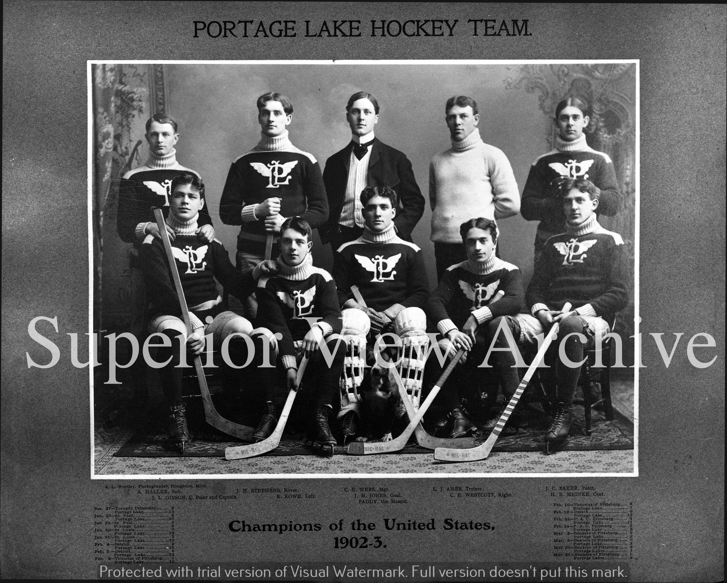 Portage Lake Hockey Team 1902