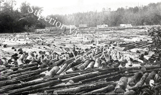 Michigan Logging Camp Huge Log Jam Lumberjack River Dance Thousands of Logs