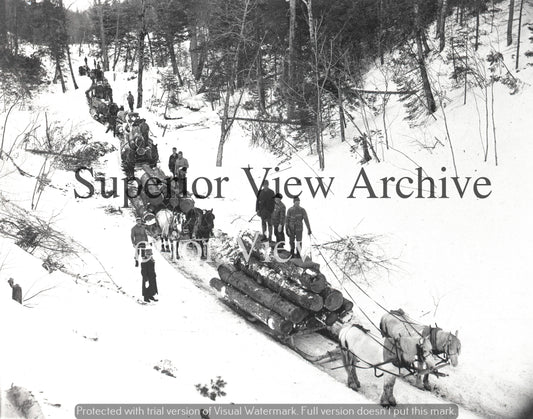 Vintage Logging In Winter Ten Sleighs and Horses Lumber Camp Boss Michigan