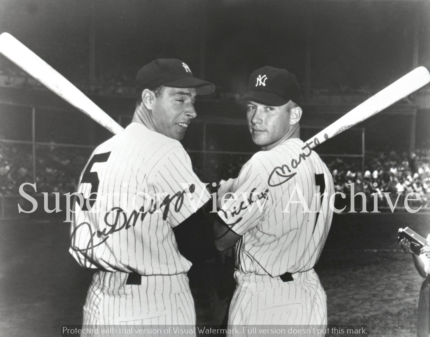 Mickey Mantle and Joe Dimmagio New York Yankee Greats Posing Together Bats