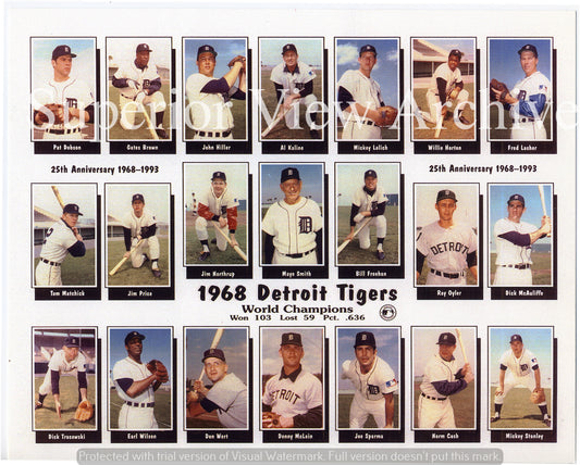Detroit Tigers Team Photo 1968 Color