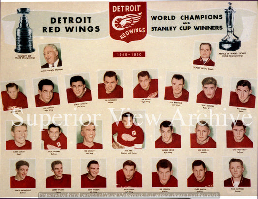 Detroit Red Wings Team Photo Color 1949-50
