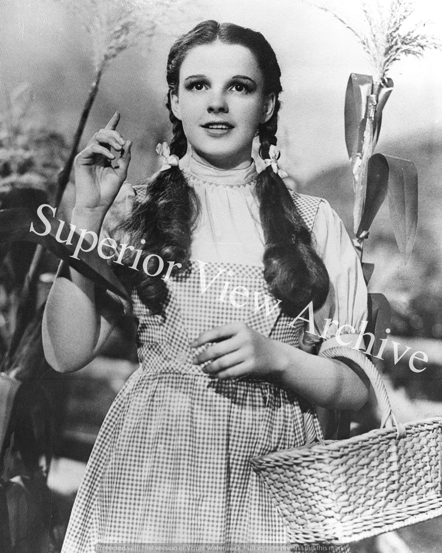 Judy Garland as Dorothy Wizard Of Oz Movie Still 1939 Dorothy of Kansas