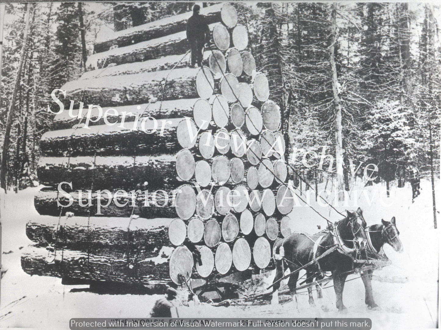 Worlds Record Load of Logs Cut in Michigan Chicago Worlds Fair 1893