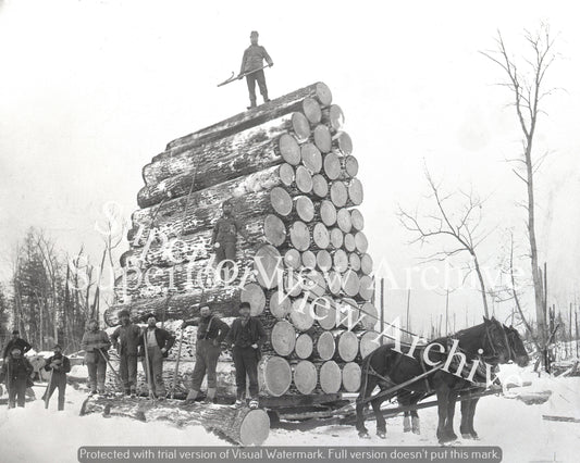 World Record Load of Logs Largest Selling Logging Photo in Michigan Runner-Up